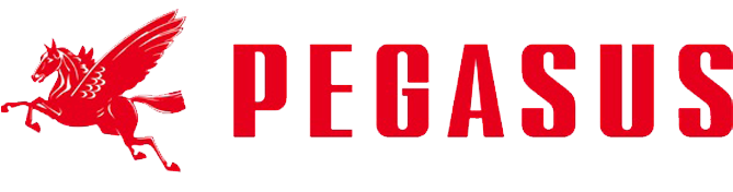 Pegasus